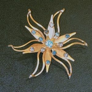 Brooche Pin